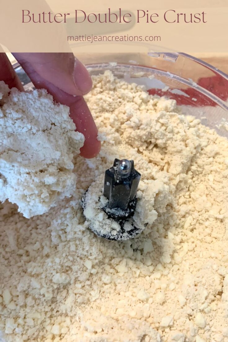 Double butter pie dough in food processor